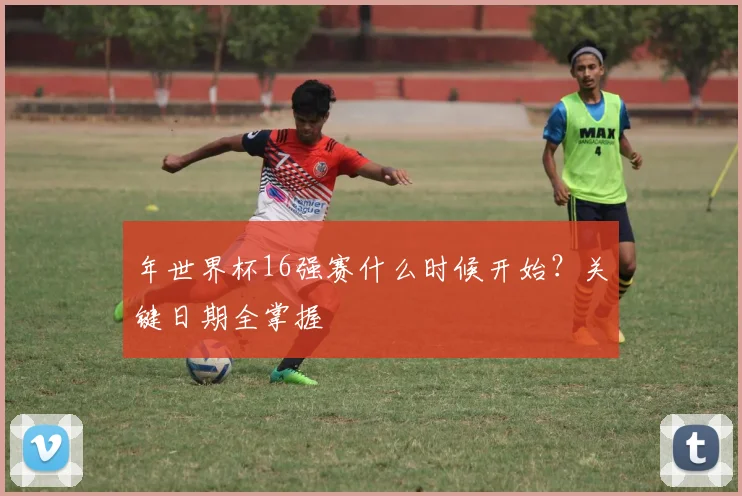 年世界杯16强赛什么时候开始？关键日期全掌握